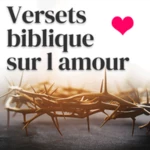 Logo of Versets biblique sur l amour android Application 